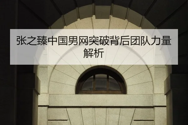 张之臻中国男网突破背后团队力量解析
